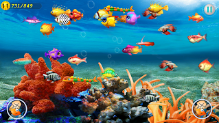 fish master ポスター