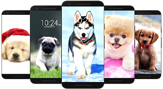 برنامه‌نما Dog Wallpaper HD عکس از صفحه