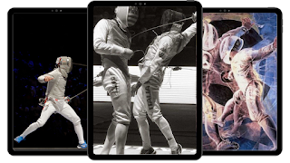 Fencing Wallpapers screenshot 6