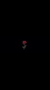 All Black Background captura de pantalla 4