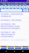Code pénal RDC Screenshot 2
