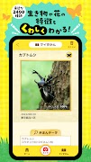 ナニコレンズ-学研の図鑑LIVE Ekran Görüntüsü 2