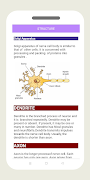 Nervous System Physiology 스크린샷 5