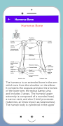 Human Bones screenshot 2