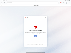 Seraphic Enterprise Browser ảnh chụp màn hình 3