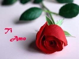 Ti Amo Amore Mio:Immagini 스크린샷 2