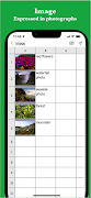 Tableau Simple capture d'écran 2