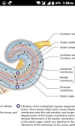 BPharm Study Notes 截圖 4