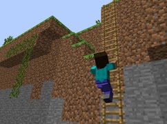 برنامهنما Animation Player Mod Minecraft عکس از صفحه