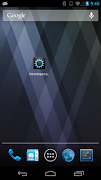 Developer Options Shortcut Affiche