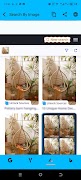 Reverse Image Search ภาพหน้าจอ 3