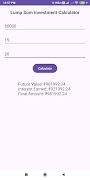 Lump Sum Investment Calculator captura de pantalla 7