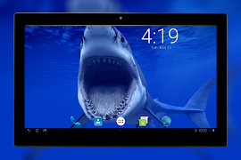 Wallpapers QuadHD 2K screenshot 6