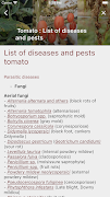 Vegetable screenshot 2