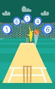 Cricket Practice 截圖 6