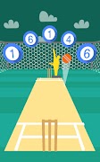 Cricket Practice syot layar 6
