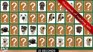 Memory Unlimited 截图 2