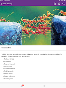 Scoutopia screenshot 3