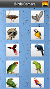 Birds Camera Frames 스크린샷 4