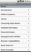 HTML5 Pro Quick Guide 海報