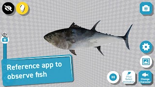 Fish 3D Reference পোস্টার