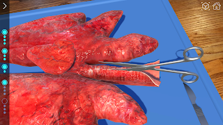 AR 해부실험실 تصوير الشاشة 4