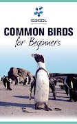 Sasol Birds for Beginners screenshot 5