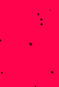 ci screenshot 5
