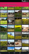 HD Material Meadow تصوير الشاشة 1