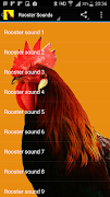 Rooster Sounds ポスター