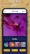 Script Fonts Style screenshot 4