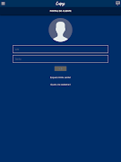 Capys IT Solutions скриншот 4