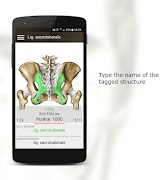 Anatomy Quiz screenshot 6