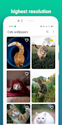 Cat wallpaper ภาพหน้าจอ 2