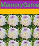 1 Schermata Memory 3D