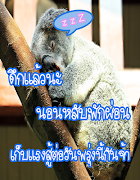 คำคมก่อนนอน ฝันดีราตรีสวัสดิ์ syot layar 6