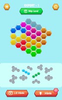 Hexa Tile Block Master screenshot 1