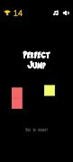 perfect Jump poster