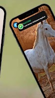 Horse Wallpaper screenshot 3