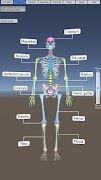 برنامه‌نما Skeletal System عکس از صفحه
