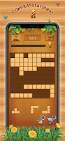 Wooden Block Puzzle Game screenshot 4