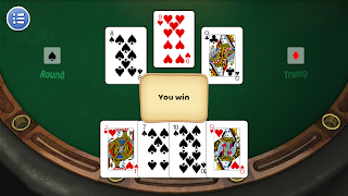 29 Card Game Ultimate screenshot 3