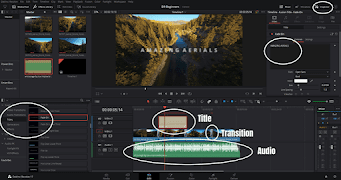 Davinci Resolve - Video Editor Screenshot 2