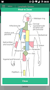 Lymphatic System Reference स्क्रीनशॉट 2