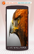 Eagle syot layar 4