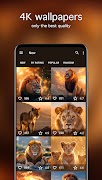 Lion Wallpapers PRO screenshot 1