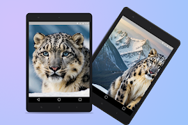 Snow Leopard HD Wallpapers スクリーンショット 6