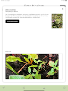 Hello Spring syot layar 4