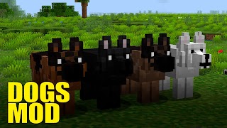 Dogs Mod For Minecraft PE স্ক্রিনশট 3