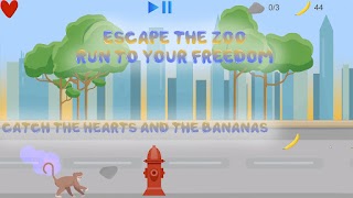 برنامه‌نما Zoo Escape عکس از صفحه